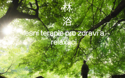 Zelená terapie: jak příroda pozitivně ovlivňuje naše tělo a mysl